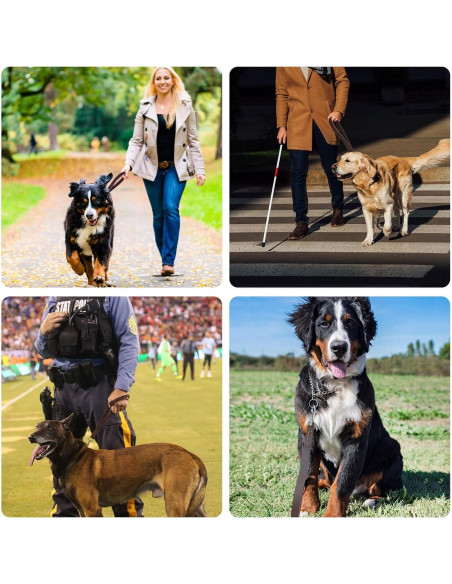 Correa corta de perro HONGSAGE de cuero 30.48 cm con gancho 360