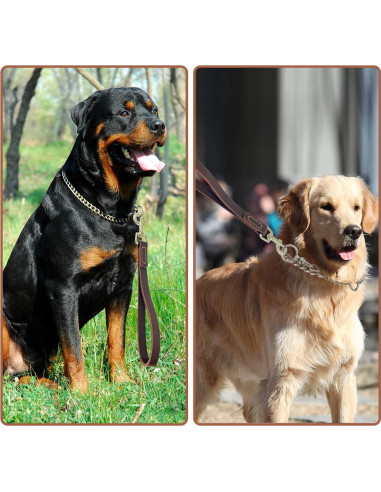 Correa corta de perro HONGSAGE de cuero 30.48 cm con gancho 360