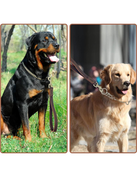 Correa corta de perro HONGSAGE de cuero 30.48 cm con gancho 360