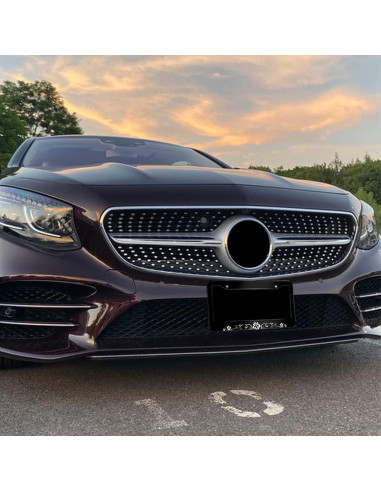 Marco de Placa de Licencia NEWCOCO Hibisco 30.9x16 cm Acero Inoxidable