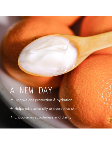 Crema Matutina Luminosa Tammy Fender 65 g - Cuidado Piel