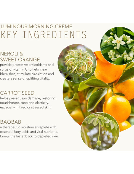 Crema Matutina Luminosa Tammy Fender 65 g - Cuidado Piel