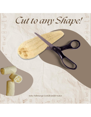 Esponja de Baño Lufa Egipcia 100% Natural Exfoliante 24x12cm