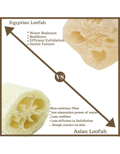 Esponja de Baño Lufa Egipcia 100% Natural Exfoliante 24x12cm