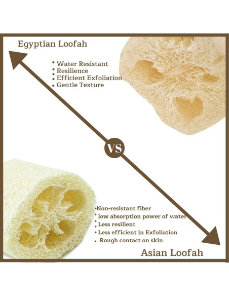 Esponja de Baño Lufa Egipcia 100% Natural Exfoliante 24x12cm