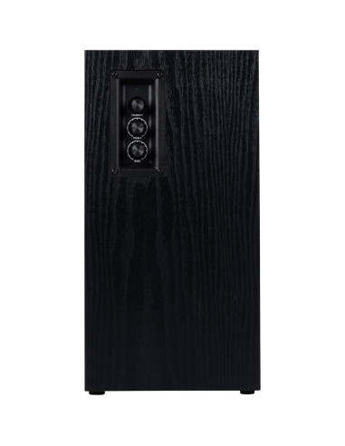 Altavoces de estantería Bluetooth Dayton Audio B65A 16.5 cm