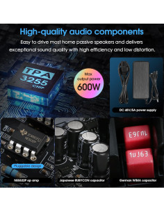 Amplificador Estéreo Douk Audio NS-13G MAX 600W HiFi Phono 2