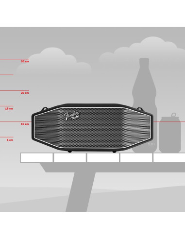 Altavoz Bluetooth Fender x Teufel ROCKSTER CROSS - Resistente, 16h Batería