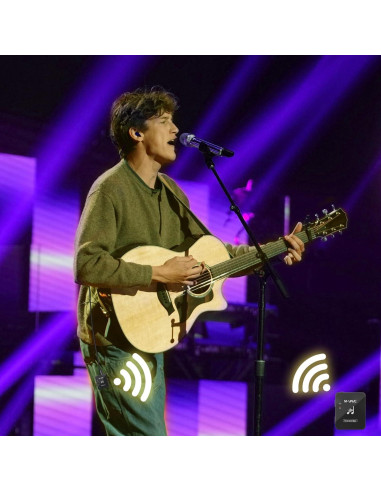 Sistema de Monitoreo In Ear Inalámbrico Btuty WP-10 30m