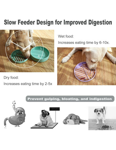 Juego de Cuencos Antideslizantes VEEVAO para Perros Medianos