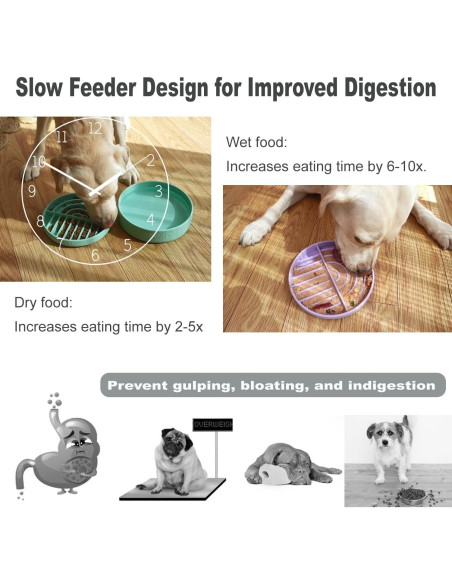 Juego de Cuencos Antideslizantes VEEVAO para Perros Medianos