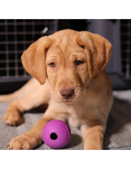 Pelotas Chew King para Perros 6.35 cm Caucho Natural 8 Unidades