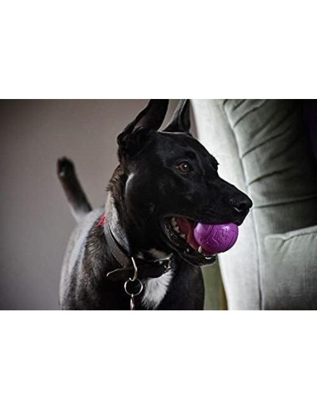 Pelotas Chew King para Perros 6.35 cm Caucho Natural 8 Unidades