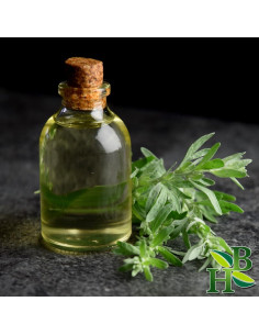 Polvo de Hierba de Ajenjo 113.4g Herb To Body - Repelente Natural 2