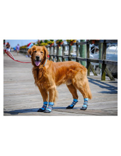 Botas Protectoras para Perros Bark Brite Neopreno Azul Grande