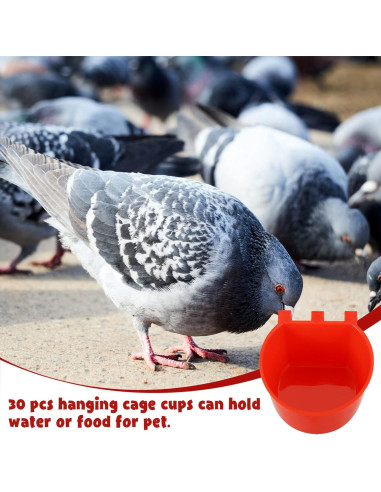 30 Tazones de Alimentación para Aves Suclain 8.3 cm Rojo