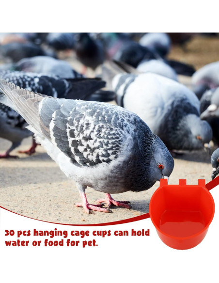 30 Tazones de Alimentación para Aves Suclain 8.3 cm Rojo