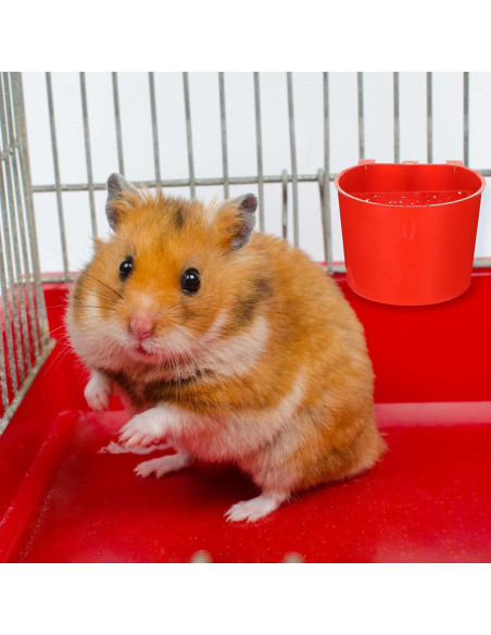 30 Tazones de Alimentación para Aves Suclain 8.3 cm Rojo