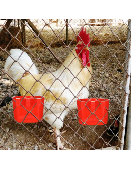 30 Tazones de Alimentación para Aves Suclain 8.3 cm Rojo