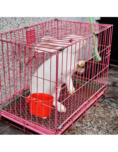 30 Tazones de Alimentación para Aves Suclain 8.3 cm Rojo