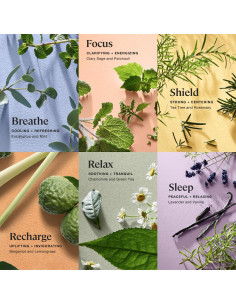 Set de Bombas de Baño Hipoalergénicas Kohler - 6 Piezas 2