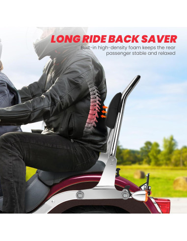 Respaldo Sissy Bar Trasero Pasajero Harley Dyna 2006-2017