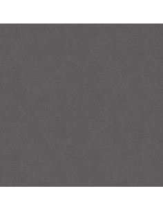 Pintura Automotriz R&E WA9789/14 Gris Claro Kit de Reparación 3 Pzas 2