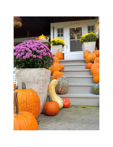 Macetero Cuadrado Alto HC Companies 58.4 cm Resistente Exterior