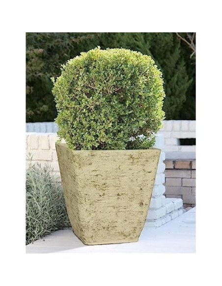 Macetero Cuadrado Alto HC Companies 58.4 cm Resistente Exterior