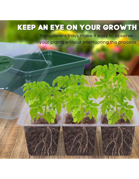 Kit de Inicio de Semillas MIXC 10 Bandejas Transparentes 60 Celdas