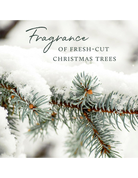 Jabón de Barra Thymes Frasier Fir 162.6 ml - Hidratante