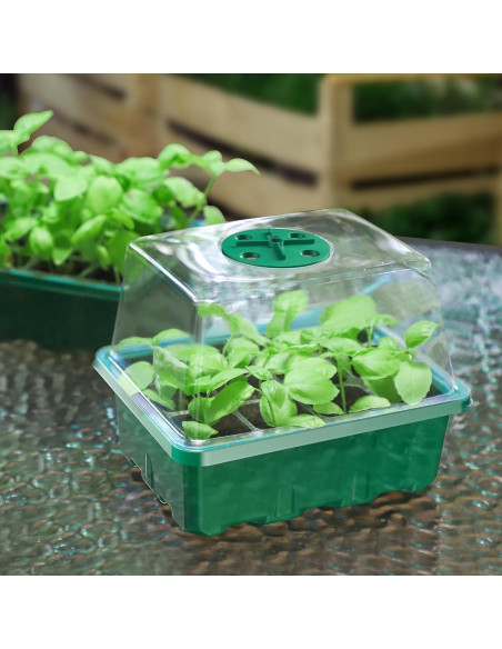 Kit de Inicio de Semillas MIXC 10 Bandejas Transparentes 60 Celdas