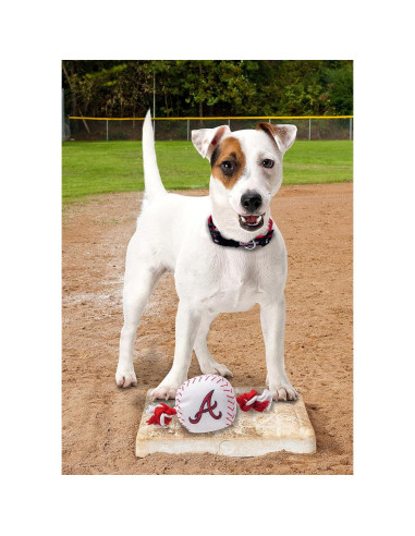 Juguete de Cuerda para Perros y Gatos MLB Atlanta Braves