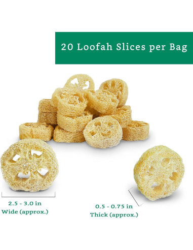 Rodajas de Lufa Natural para Jabón - 20 Piezas - Sostenible