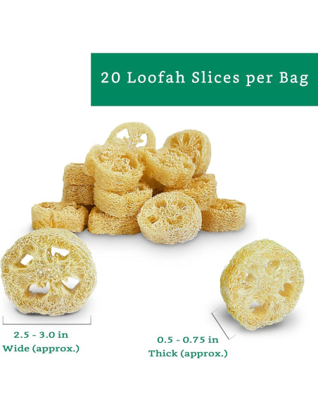Rodajas de Lufa Natural para Jabón - 20 Piezas - Sostenible