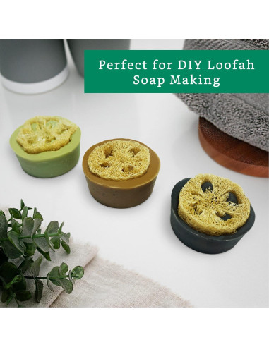 Rodajas de Lufa Natural para Jabón - 20 Piezas - Sostenible