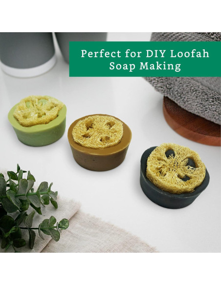 Rodajas de Lufa Natural para Jabón - 20 Piezas - Sostenible