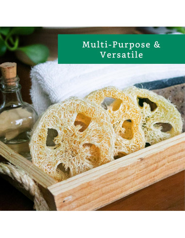Rodajas de Lufa Natural para Jabón - 20 Piezas - Sostenible