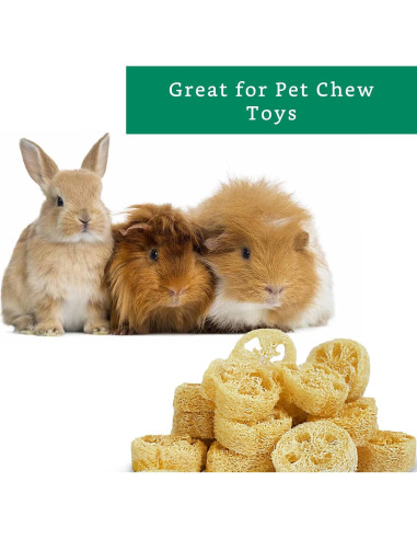 Rodajas de Lufa Natural para Jabón - 20 Piezas - Sostenible