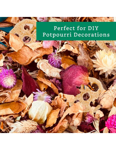 Rodajas de Lufa Natural para Jabón - 20 Piezas - Sostenible