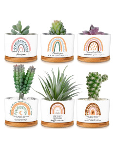 Macetas Suculentas Cerámica Sieral 6 Pcs Boho Agradecimiento