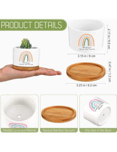 Macetas Suculentas Cerámica Sieral 6 Pcs Boho Agradecimiento 2