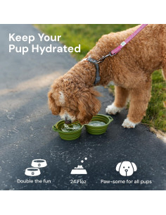 Tazón Plegable para Perros Pup Culture Doble - Silicona Negra 2