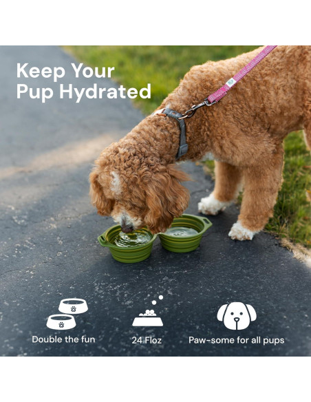 Tazón Plegable para Perros Pup Culture Doble - Silicona Negra