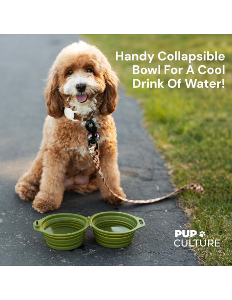 Tazón Plegable para Perros Pup Culture Doble - Silicona Negra