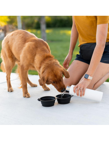 Tazón Plegable para Perros Pup Culture Doble - Silicona Negra