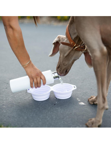 Tazón Plegable para Perros Pup Culture Doble - Silicona Negra