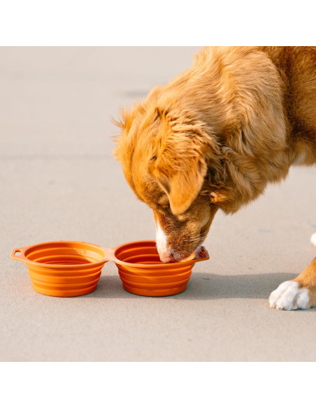 Tazón Plegable para Perros Pup Culture Doble - Silicona Negra