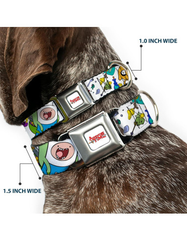 Collar para perro de cinturón de seguridad Buckle-Down 28-42 cm