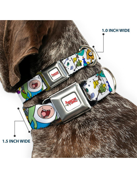 Collar para perro de cinturón de seguridad Buckle-Down 28-42 cm